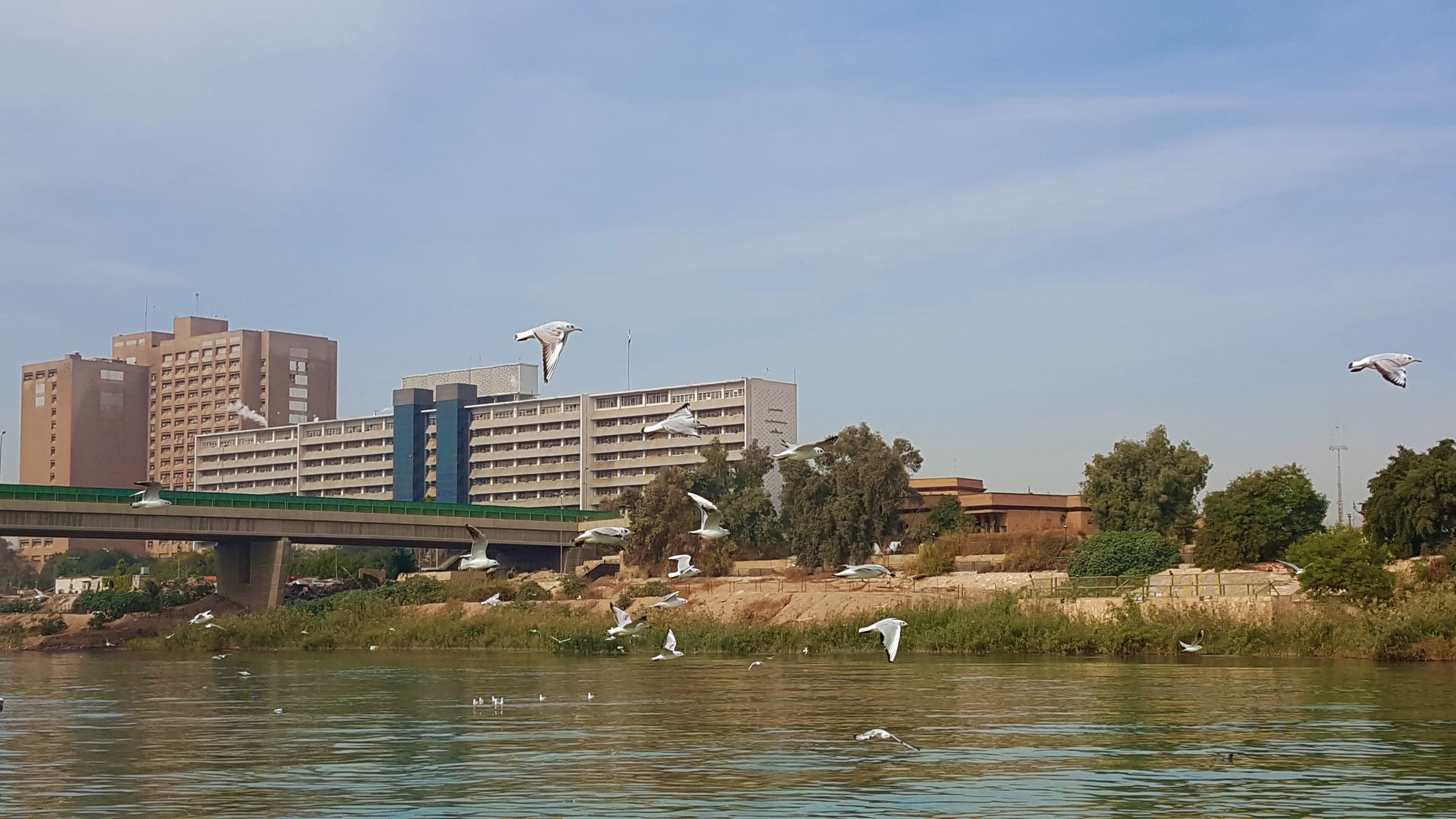 Why Local Representation Matters for Doing Business in Iraq